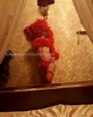 Анкета проститутки Роза - метро Тимирязевский, возраст - 27